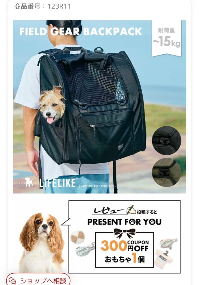 再値下げ⭐︎！FIELD GEAR BACKPACK オリーブ色