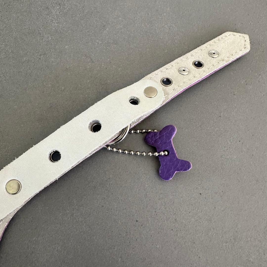 バディベルト BUDDYBELTS 3.5 紫 ハーネス