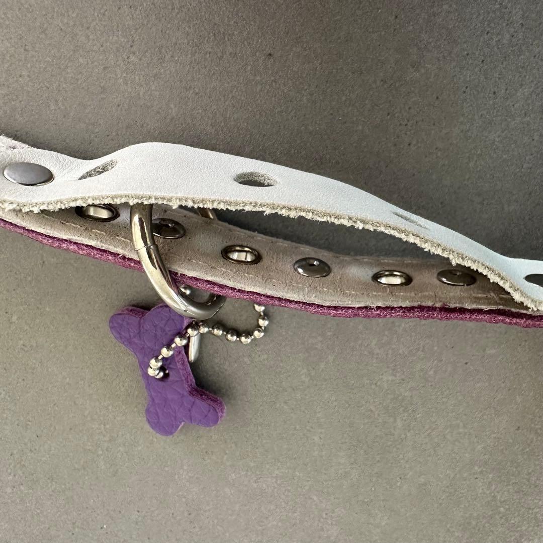 バディベルト BUDDYBELTS 3.5 紫 ハーネス