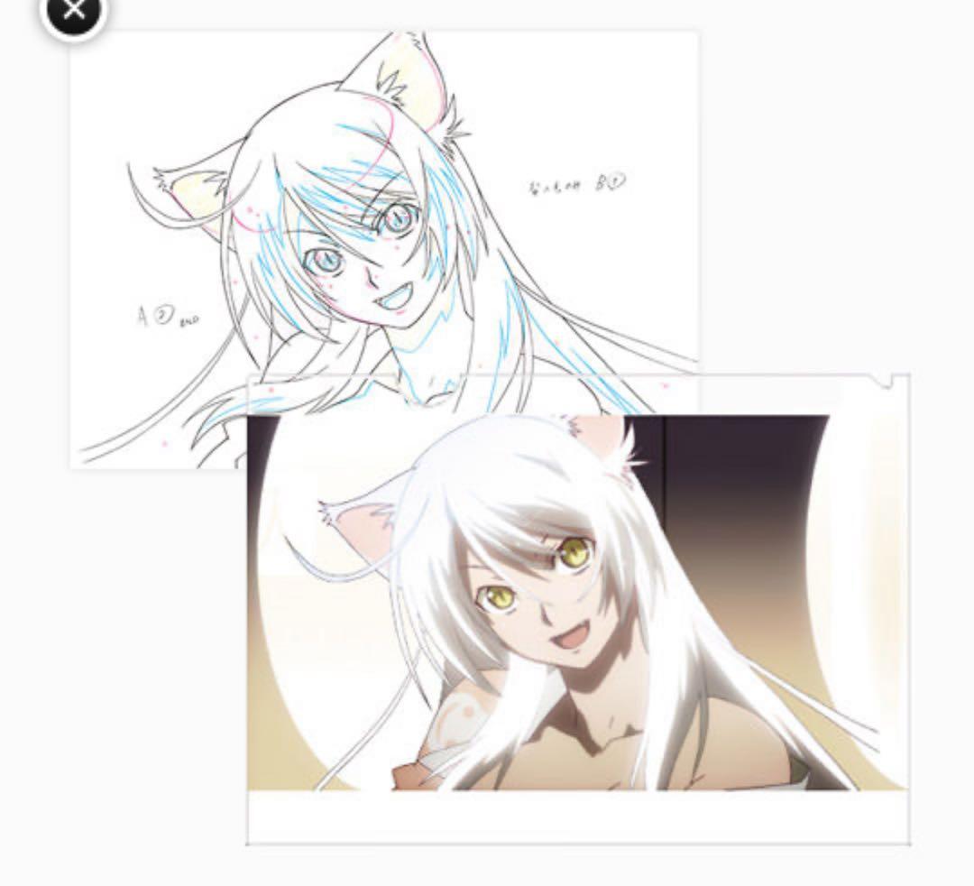 物語シリーズ　KEY ANIMATION CLEARFILE セット