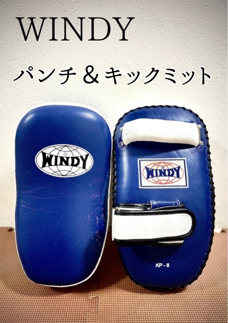 WINDY ウィンディKP-8 パンチ＆キックミット