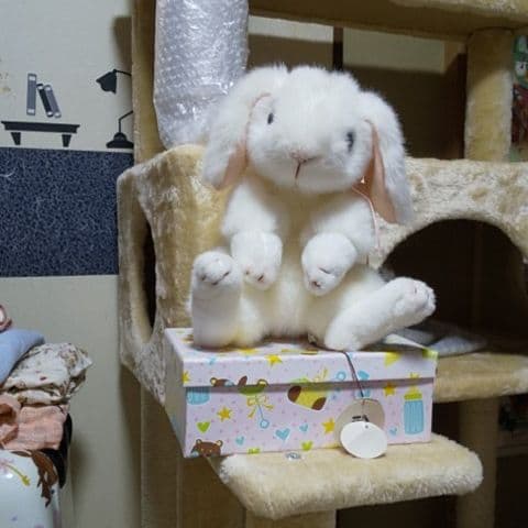 (吉徳の。)ぬいぐるみ