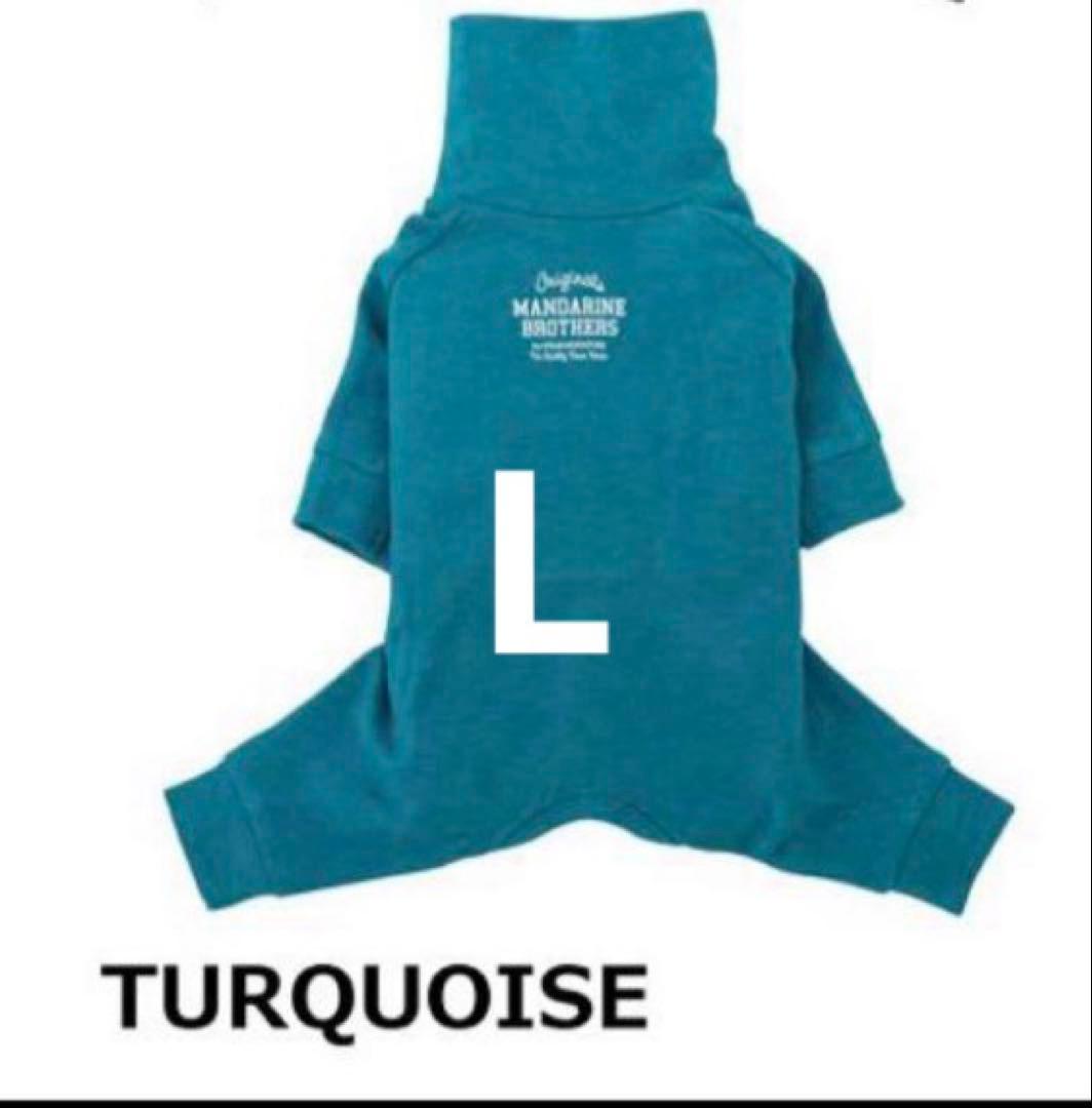 tiapuピンクL、ターコイズL、ボトルキャップ②