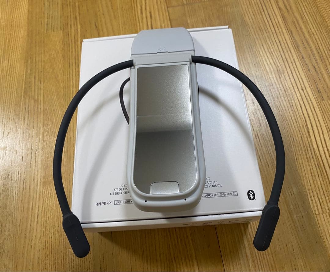 ソニー　レオンポケットプロ