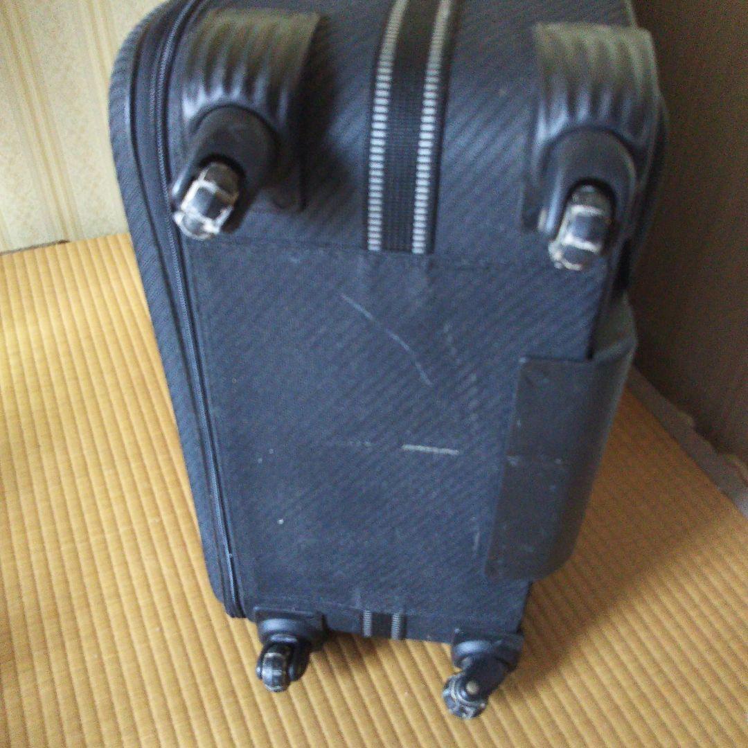 大型キャリーバッグ 布製ソフトケース　Lサイズ　2個セット