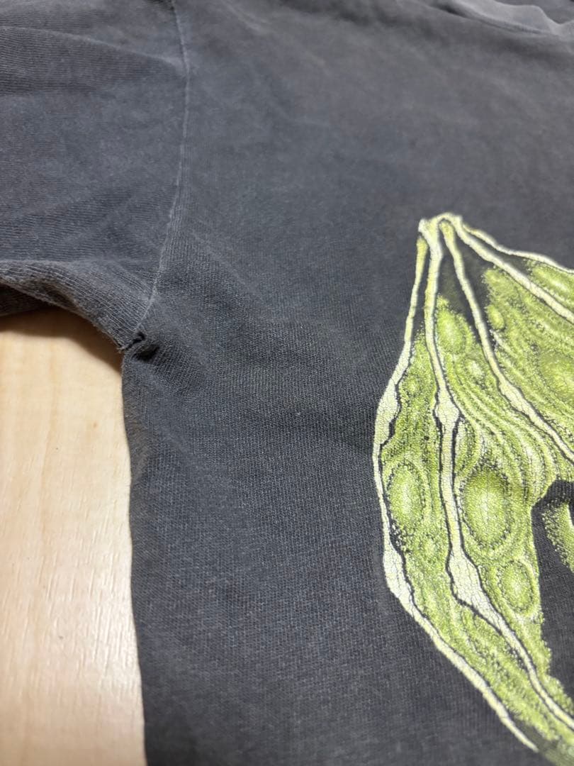 激レア90'S LLICA バンドMシャツ ヴィンテージ パスヘッド