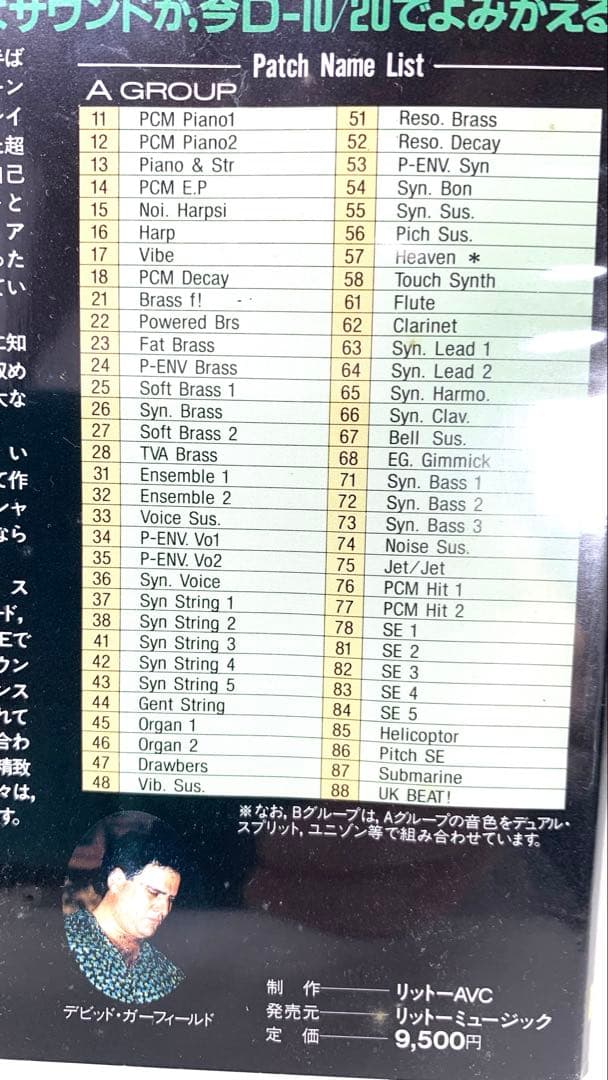 希少David Garfield Voice ROM for D-10/20