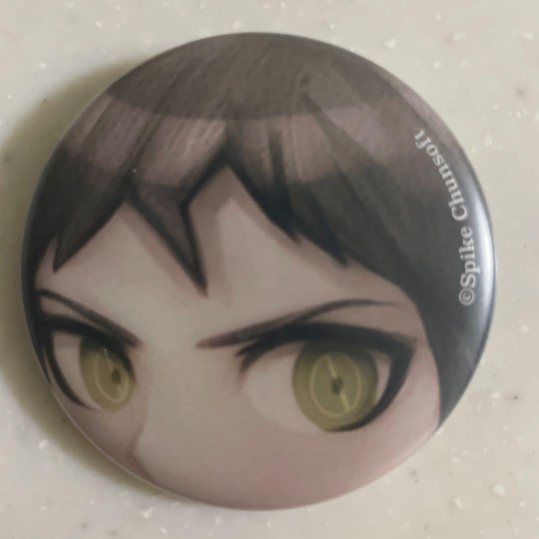 ダンガンロンパ なぞともカフェ 超高校級の どあっぷ缶バッジ 日向創