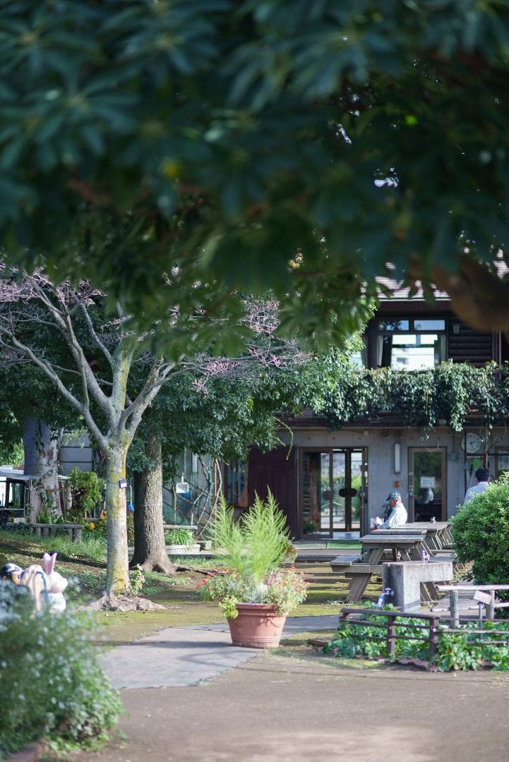 お買得品絶版マクロ！Zeiss Makro-Planar 100mm f2 ZF