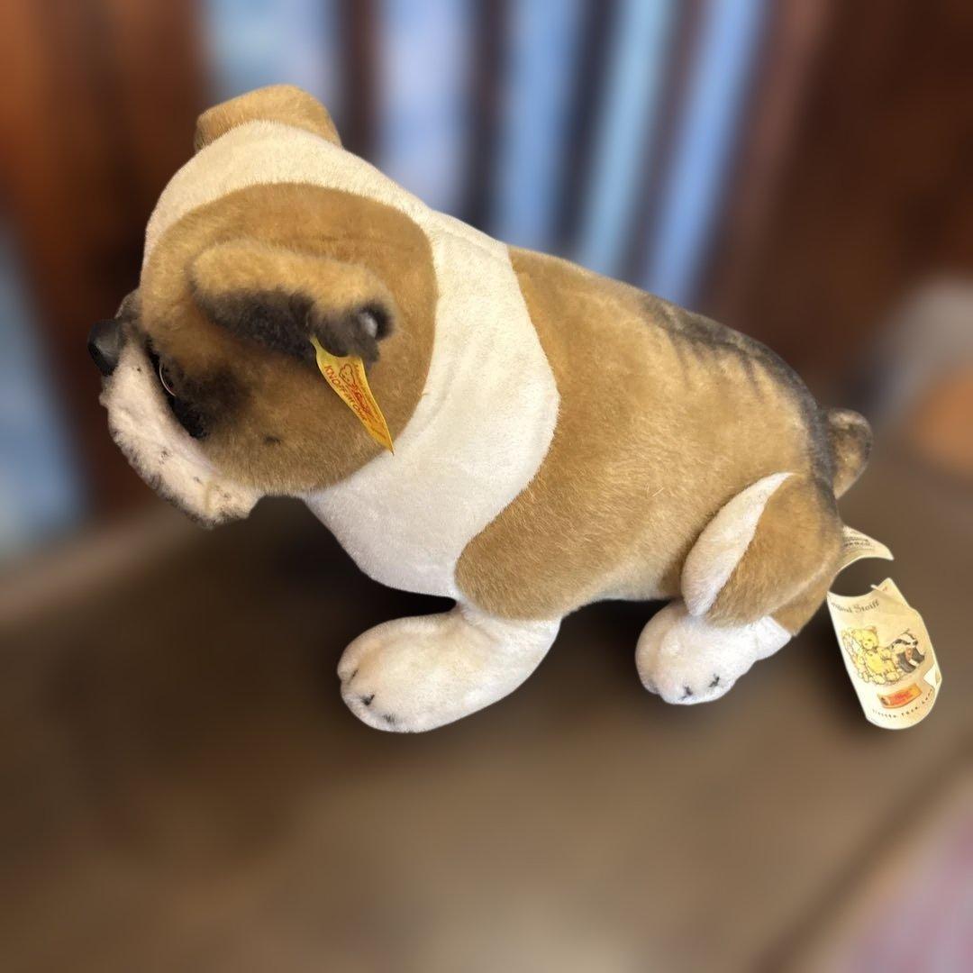 シュタイフ ブルドッグ　Snobby