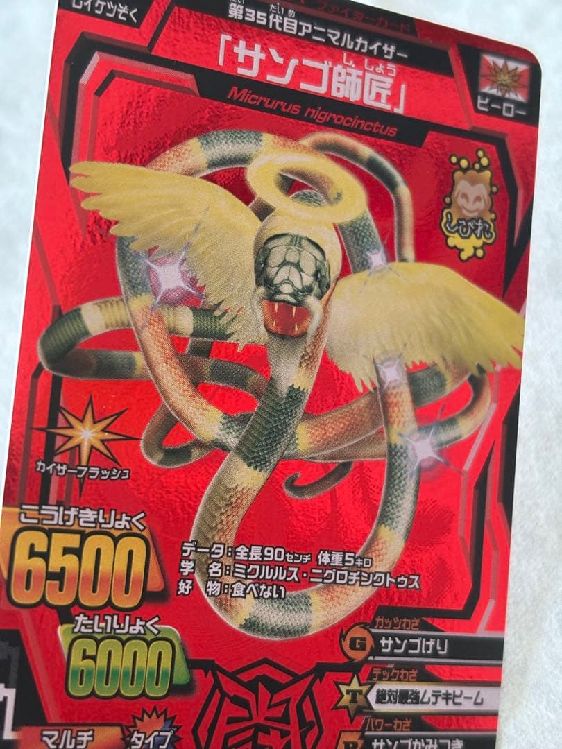 アニマルカイザー サンゴ師匠 激レア