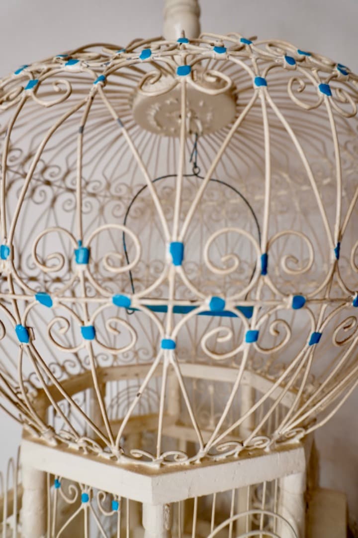 フランス アンティーク 鳥かご バードケージ