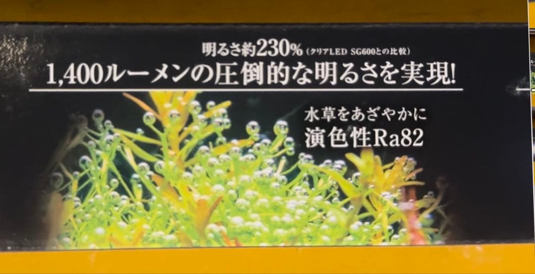 GEXクリアLEDパワーＸ600 2本セット新品