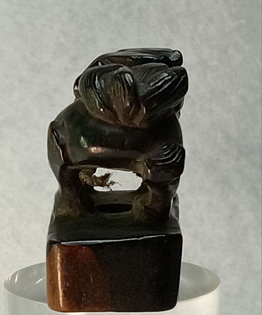 江戸時代 「狛犬 」根付 海松 または 黒柿彫