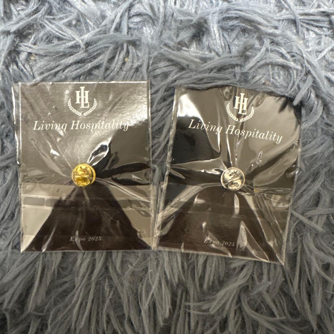 関西万博 EXPO2025 スイス カナダ　ピンバッジ 非売品　アフター万博