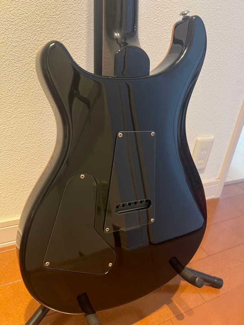 Paul Reed Smith prs se custom24 ブルー