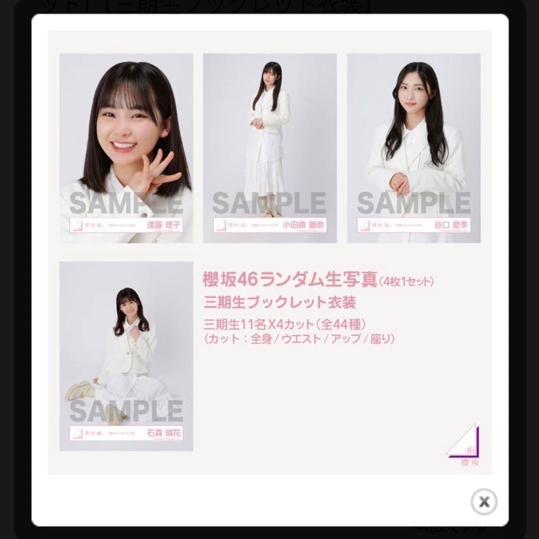 櫻坂46 3期生生写真コレクション 240枚セット