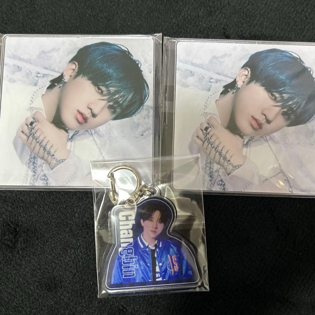 Stray Kids SKZOO チャンビン トゥエッキ まとめ売り