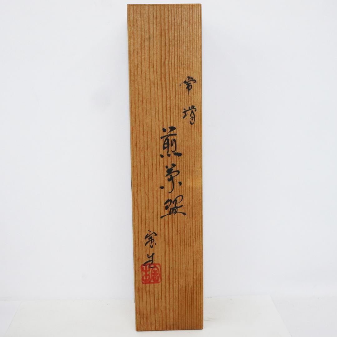 常滑焼　煎茶器5客 山田宝生 紅葉 陶歴 共箱