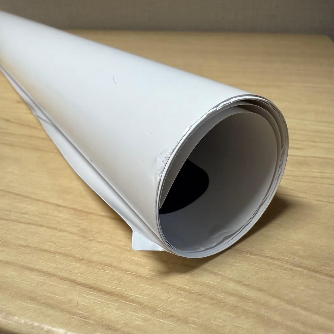 【非売品】サウナイキタイ　ポスター　清水みさと