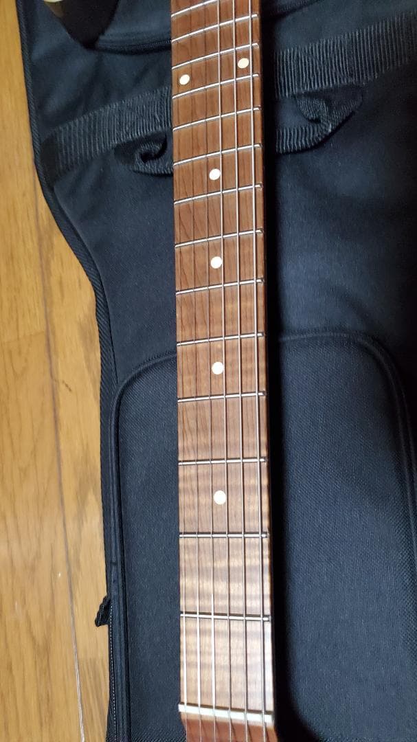 Bacchus TACTICS24-STD/RSM Gun-M ほぼ新品