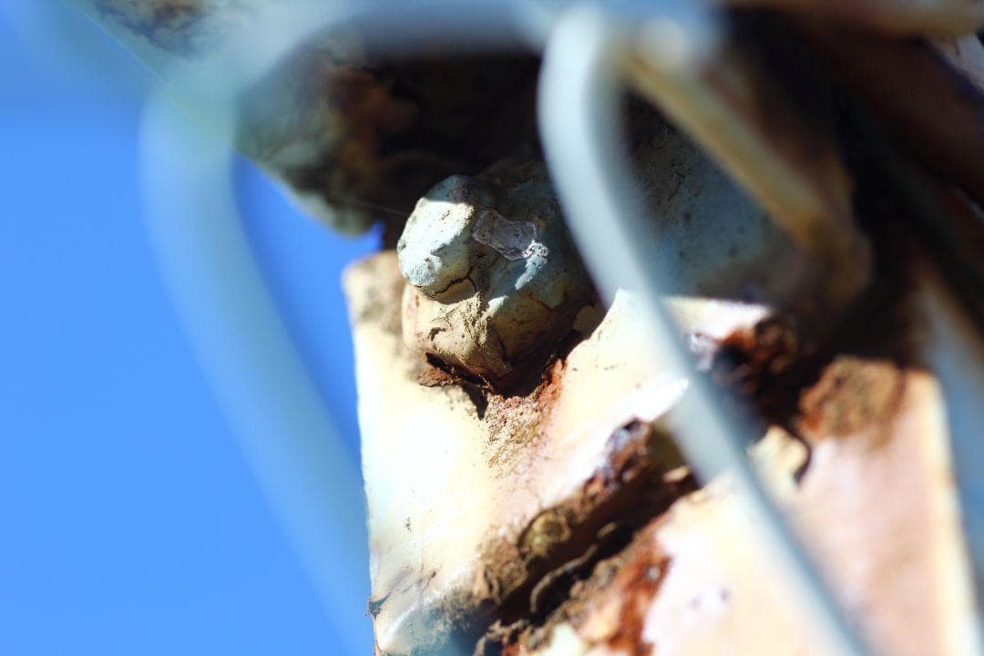 中古良品 試写あり TAMRON SP 90mm F2.5 マクロ 52BB