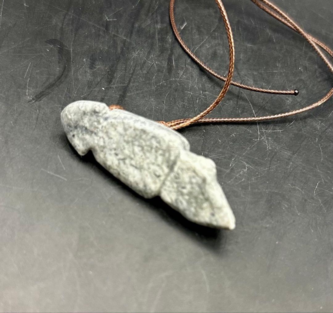 2025.8.31海霊イカ　糸魚川グレ翡翠