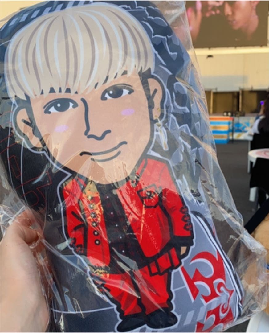 長谷川慎BOTクッション