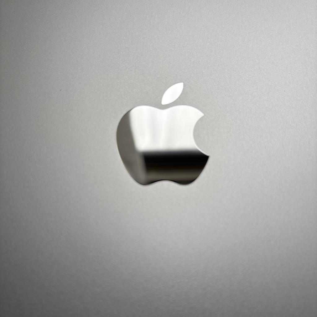 iPad Pro 13インチ M4 Wi-Fiモデル 256GB シルバー