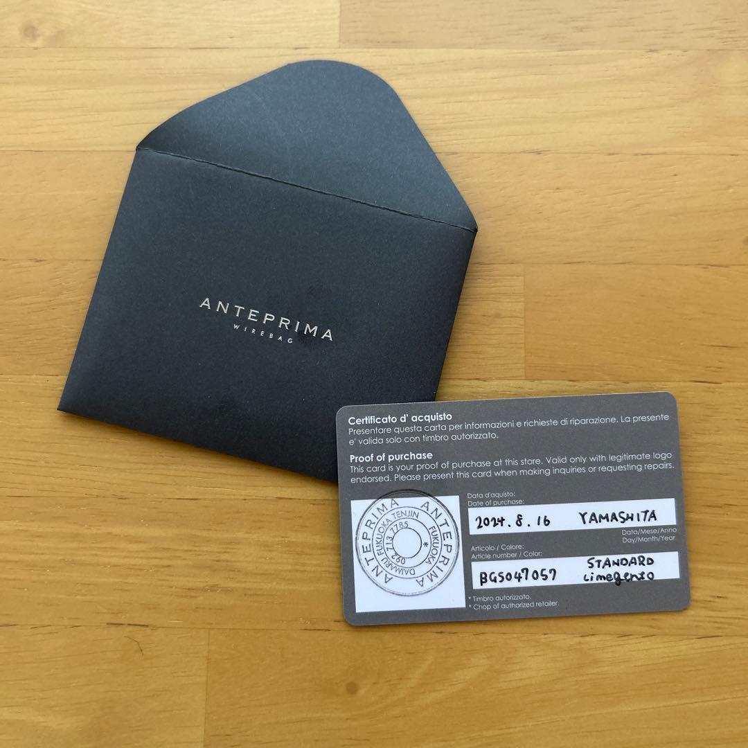 アンテプリマワイヤーバッグ　スクエア　ラージ　シャンパングリーン