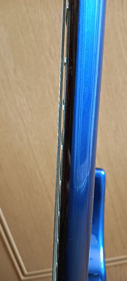 フェルナンデス fr55