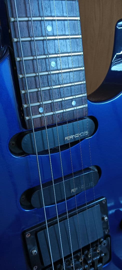 フェルナンデス fr55