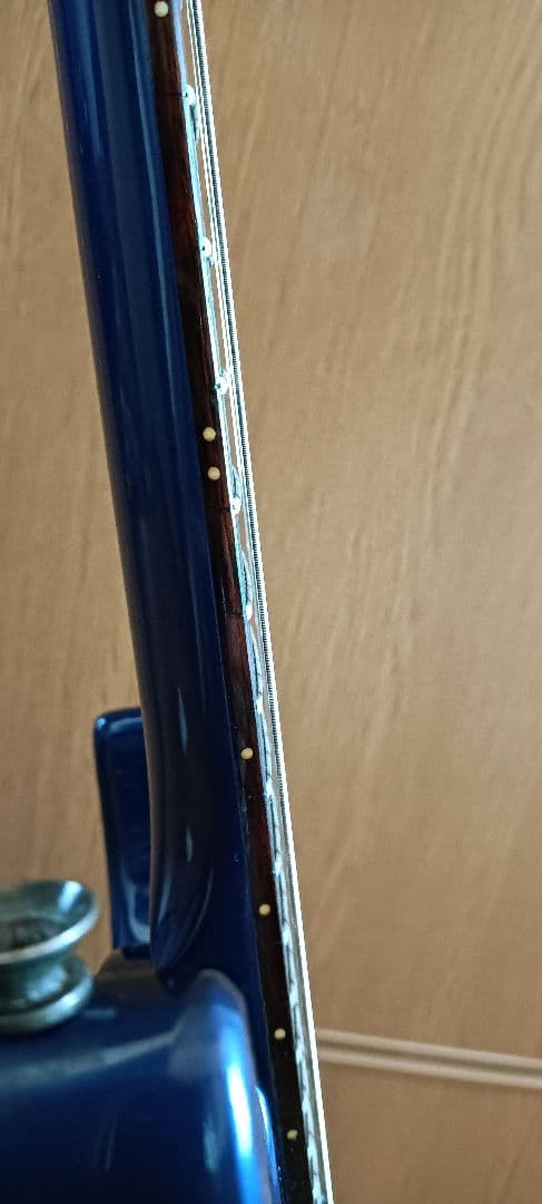 フェルナンデス fr55