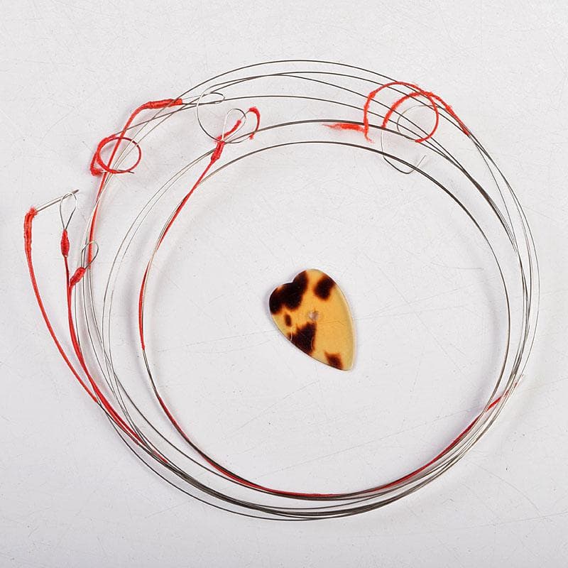 Rokutaro Nakade　中出六太郎　マンドリン　A70　M　R9222B