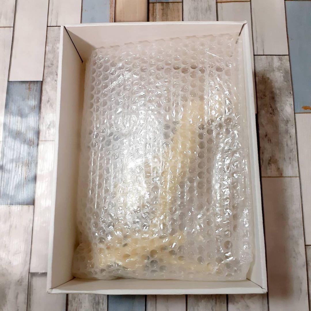 フューチャーモデルズ バーチャファイター サラ ガレージキット