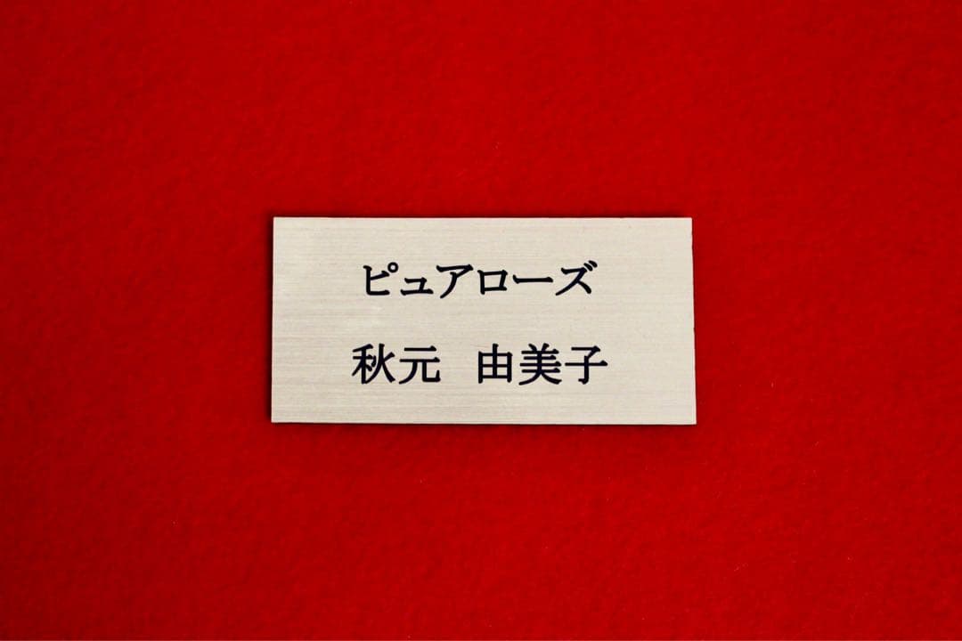 花乙女コレクション【秋元由美子　ピュアローズ】購入金額より60％お値引き！！