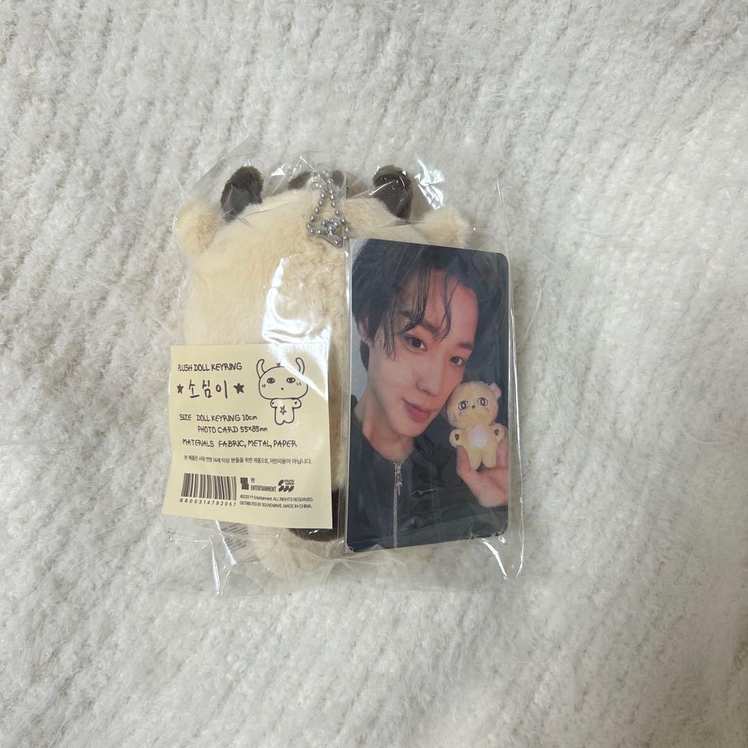 パクジフン センイル MD ぬいぐるみ ソシミ