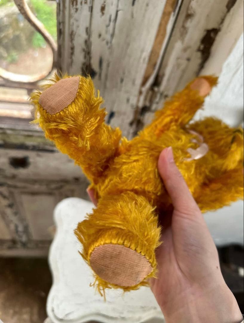 フランスアンティーク とっても優しいお顔の綺麗なゴールドベア