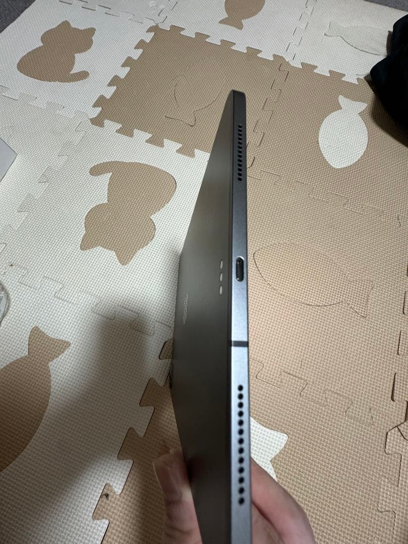 iPad本体 iPad Pro 2 11inch 128gb