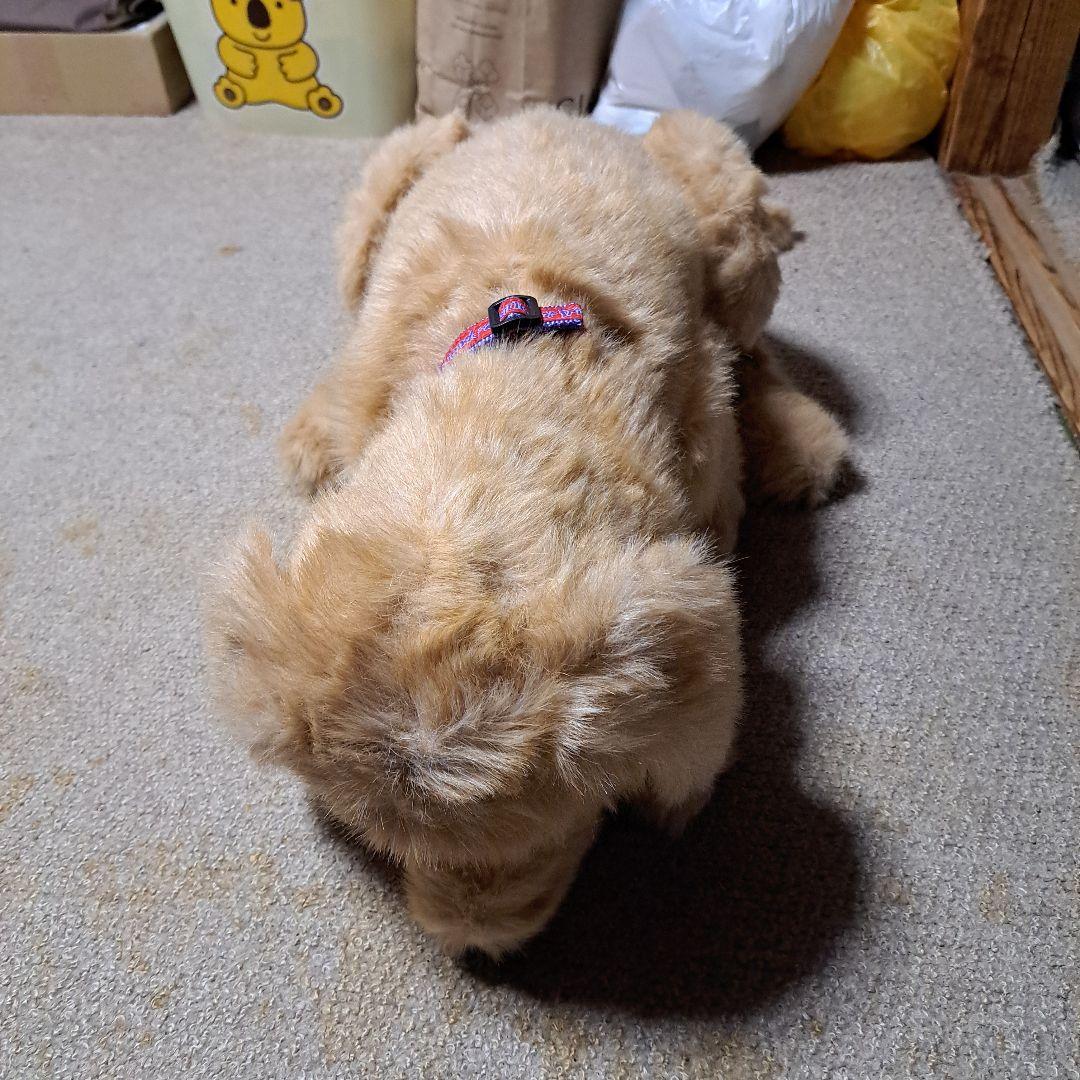 夢いぬDX　ゴールデンレトリバー　希少　BIG　癒し