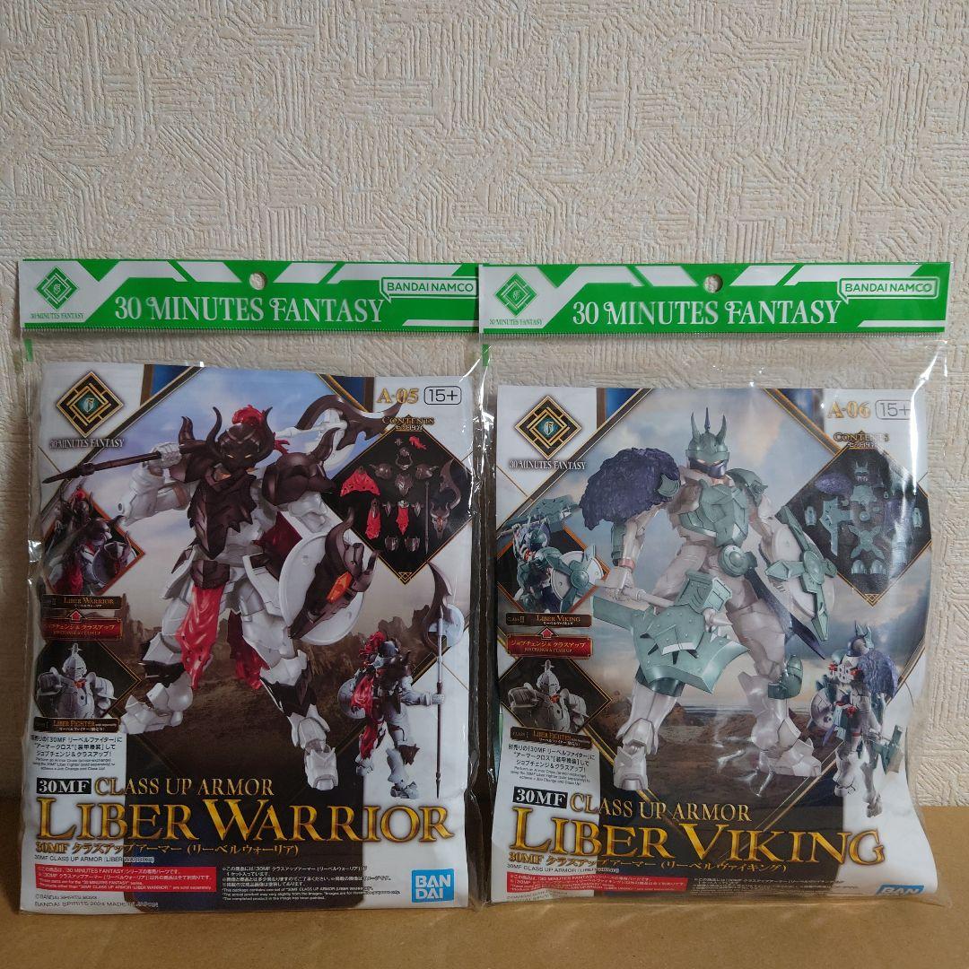 30MF ファイターコンプセット【ローザン＆リーベル】