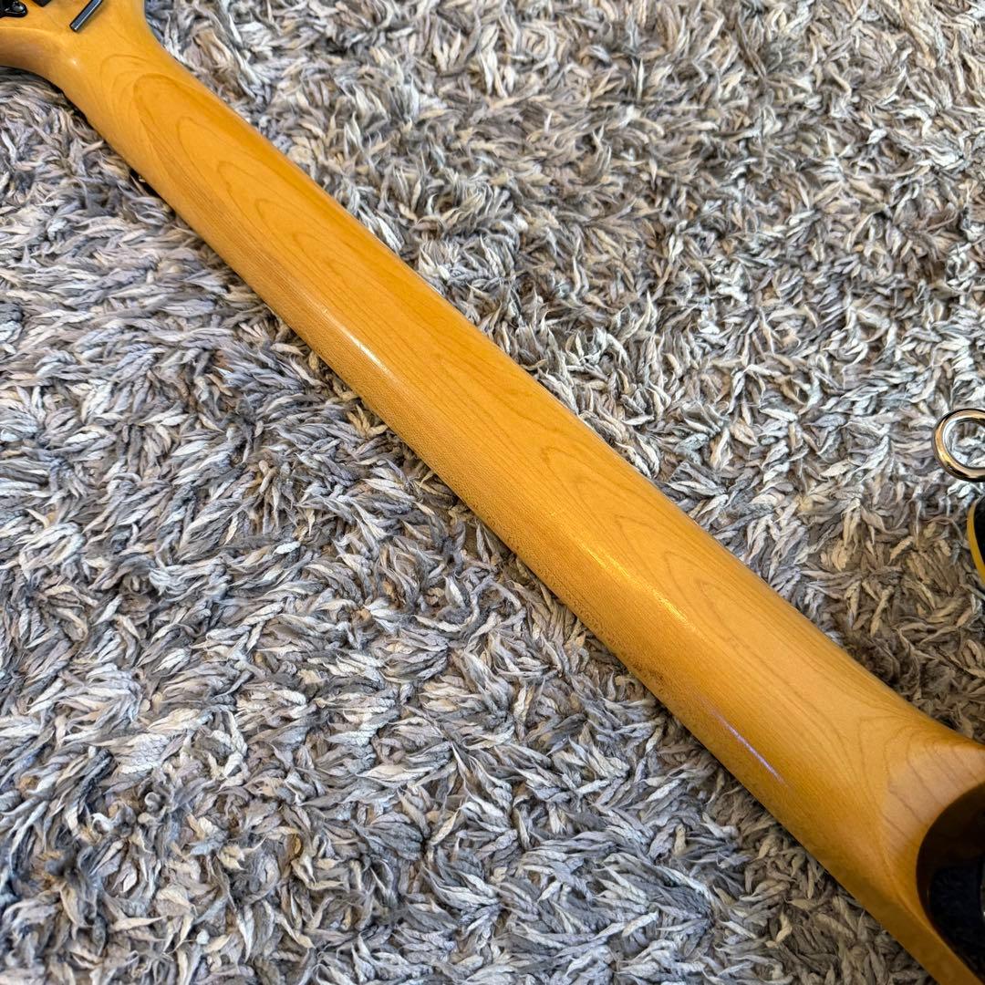 Kimberley 【peavey EVHタイプ】