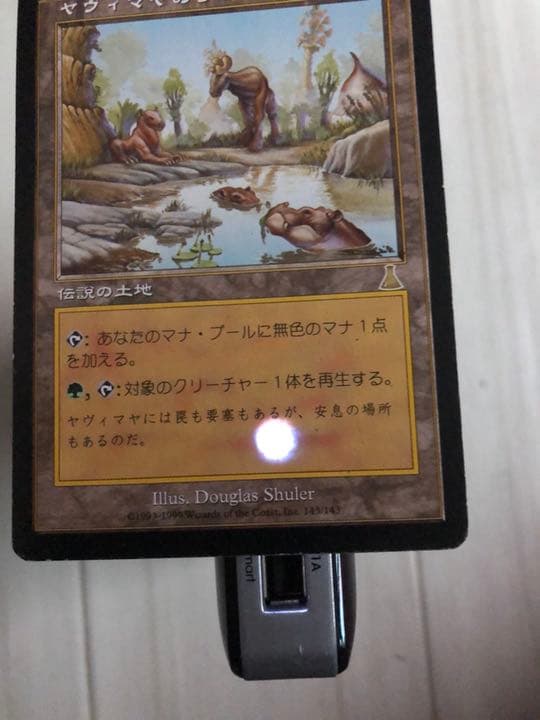MTG ヤヴィマヤのうろ穴 日本語　UDS