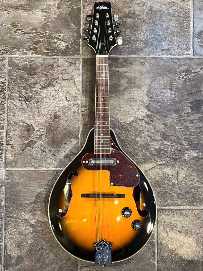 【新品未使用】フラットマンドリン ARIAアリアAM-20E 初心者11点セット