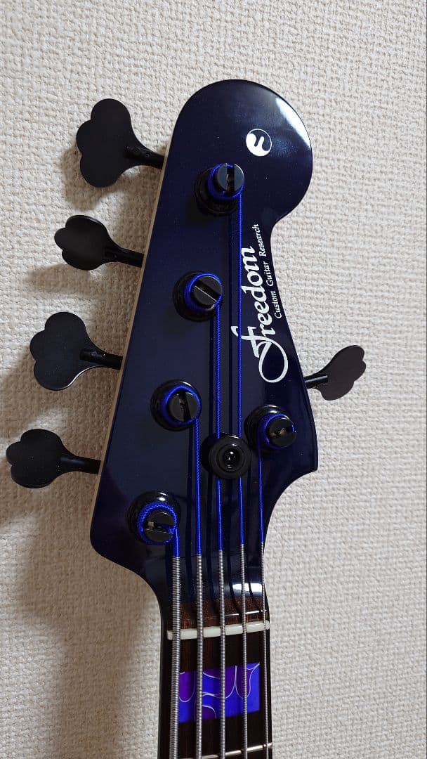 FREEDOM CUSTOM GUITAR RESEARCH 5弦ジャズベース