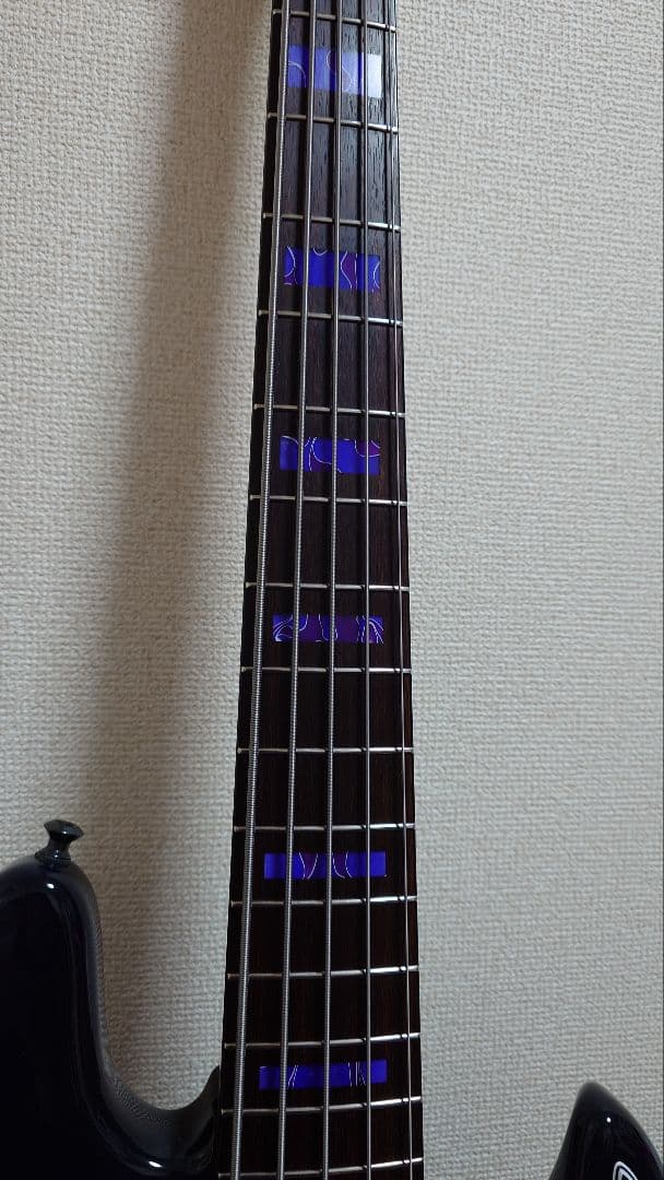 FREEDOM CUSTOM GUITAR RESEARCH 5弦ジャズベース