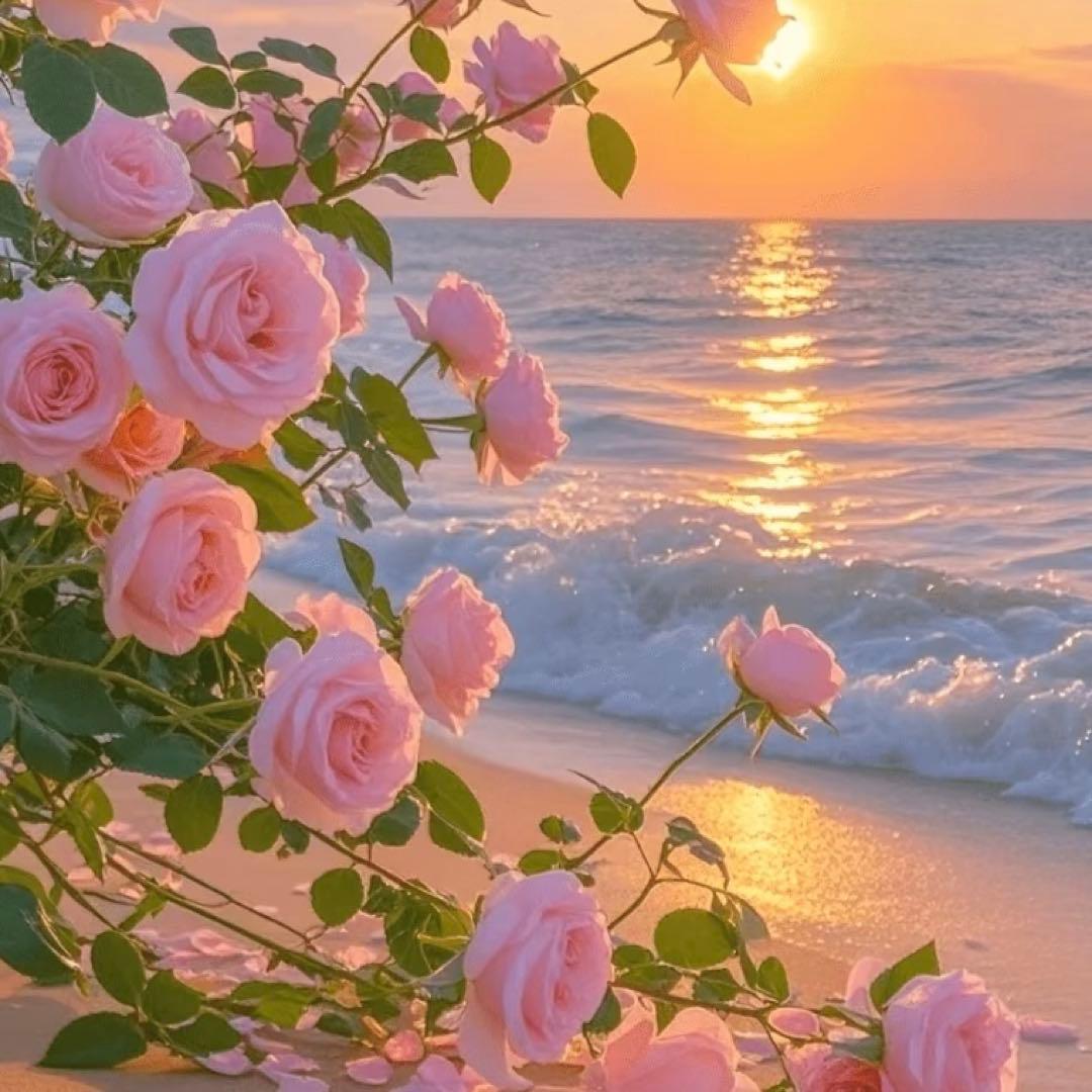 れすと23プロフ読推奨様　JSブラック38