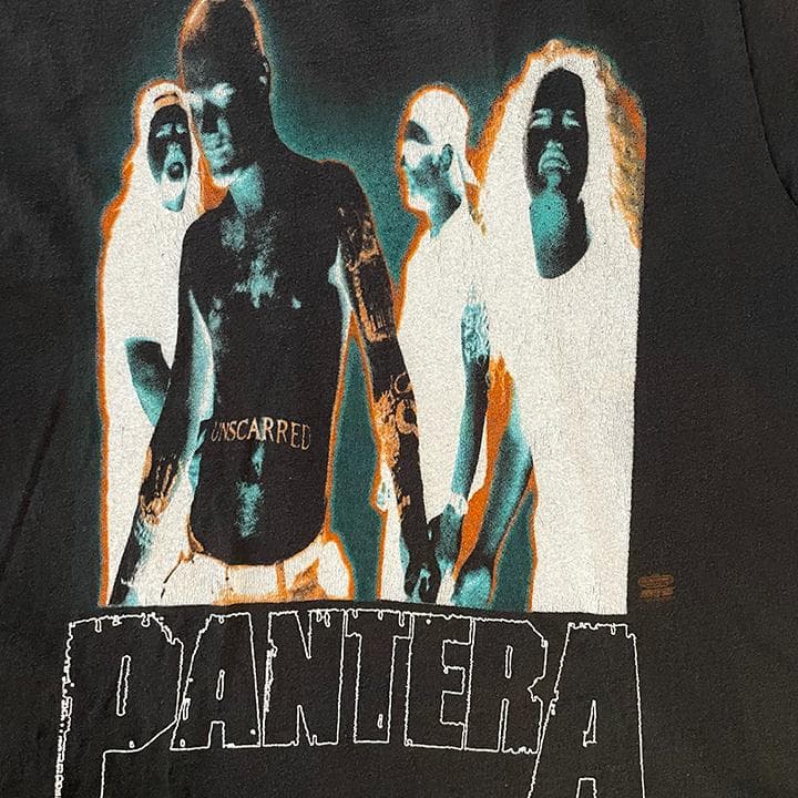 PANTERA Tシャツ 93 L VULGAR Hanes Winter