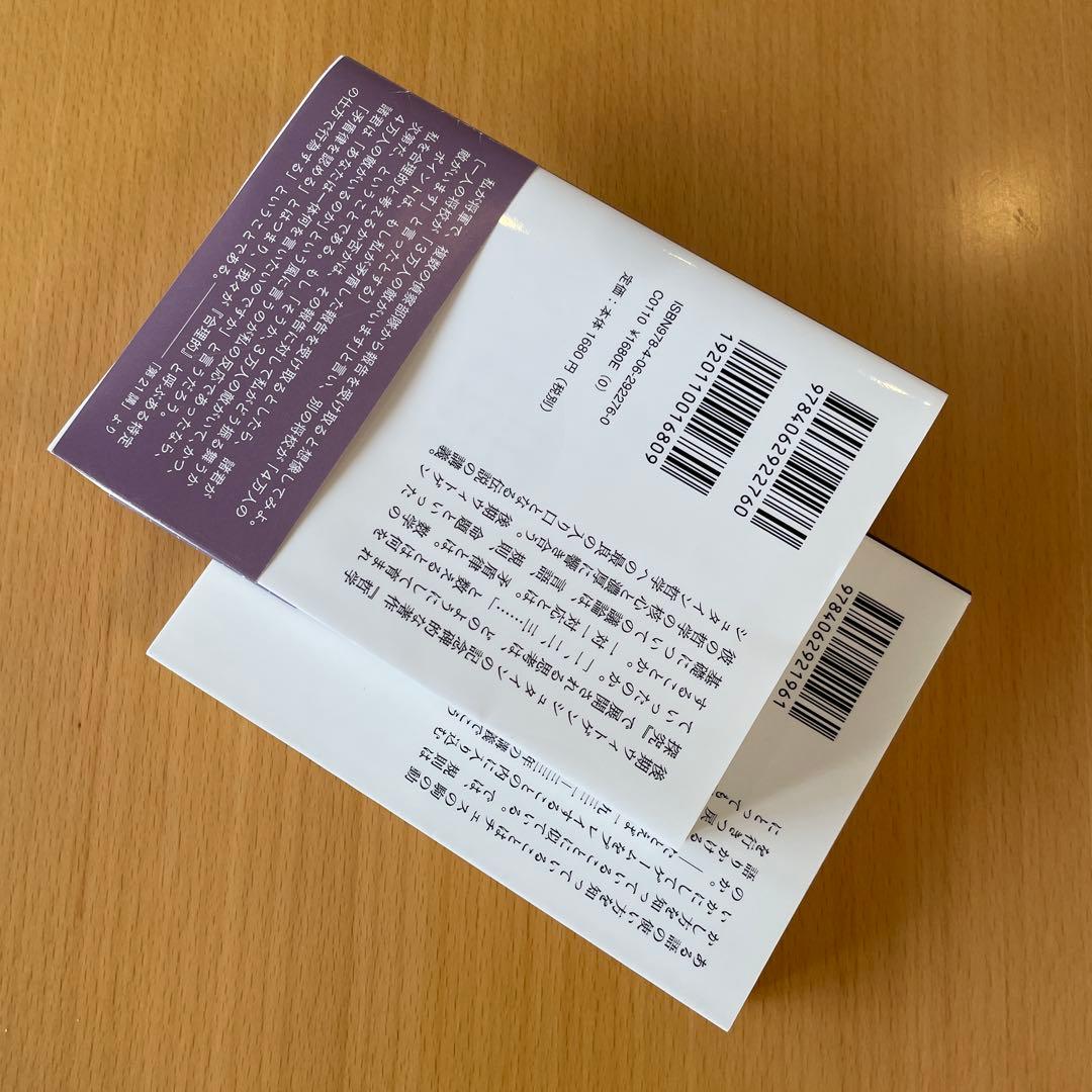 【絶版・希少・美品・２冊組】ウィトゲンシュタインの講義 講談社学術文庫 匿名配送