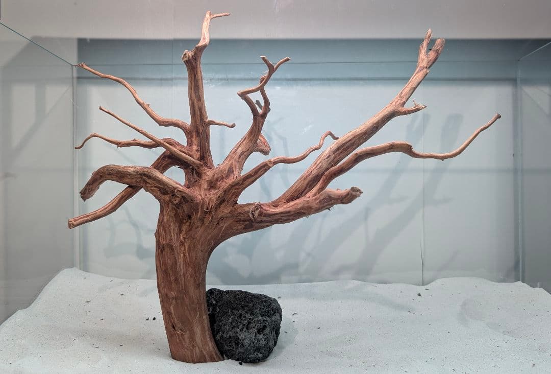 スマトラブランチウッド【SBC132】アクアリウム 水槽 流木 まとめ買い対応